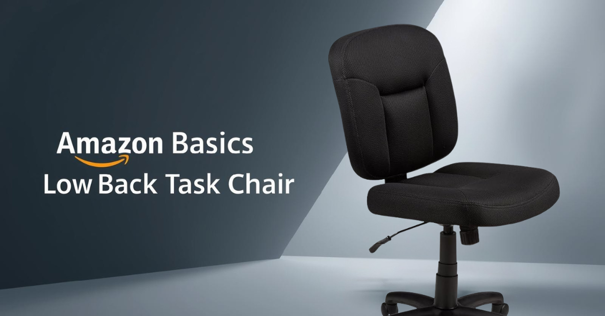 The Foundation of Function: A Review of the Amazon Basics Low-Back Task ...